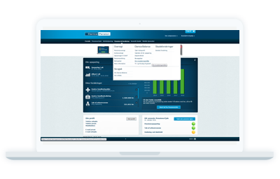 Visuelt billede af, hvordan Danica Balance ser ud på en computer