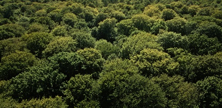 Danica arbejder for bæredygtighed gennem ansvarlige investeringer, klimaindsats og finansiel tryghed